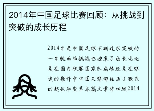 2014年中国足球比赛回顾：从挑战到突破的成长历程