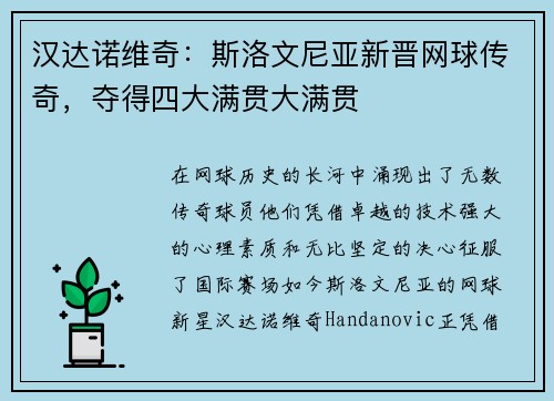 汉达诺维奇：斯洛文尼亚新晋网球传奇，夺得四大满贯大满贯