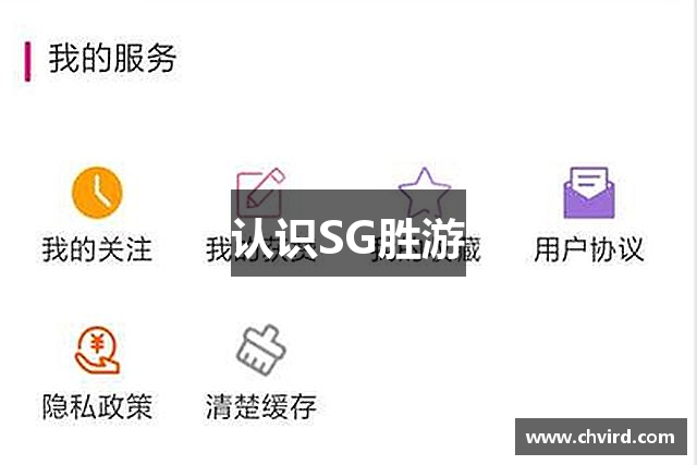 认识SG胜游